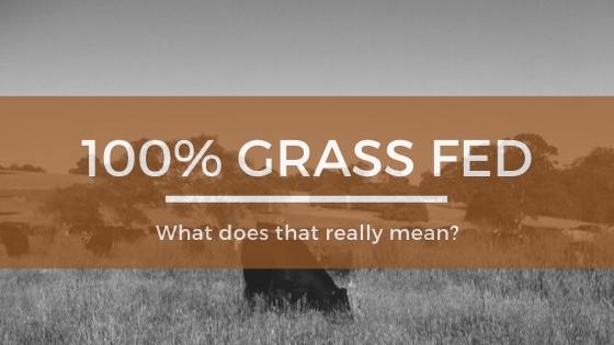 grass fed what does this really mean blog pic