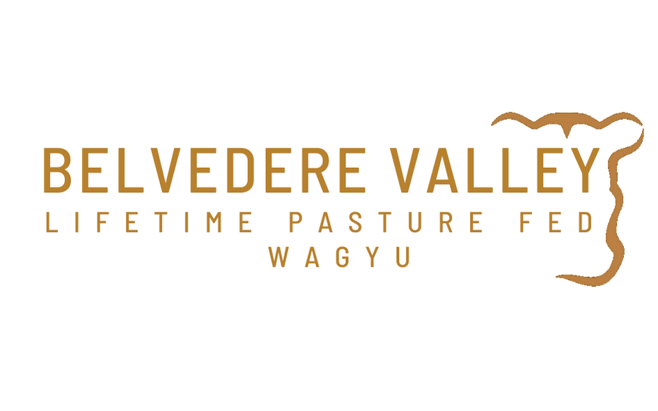 Belvedere Valley