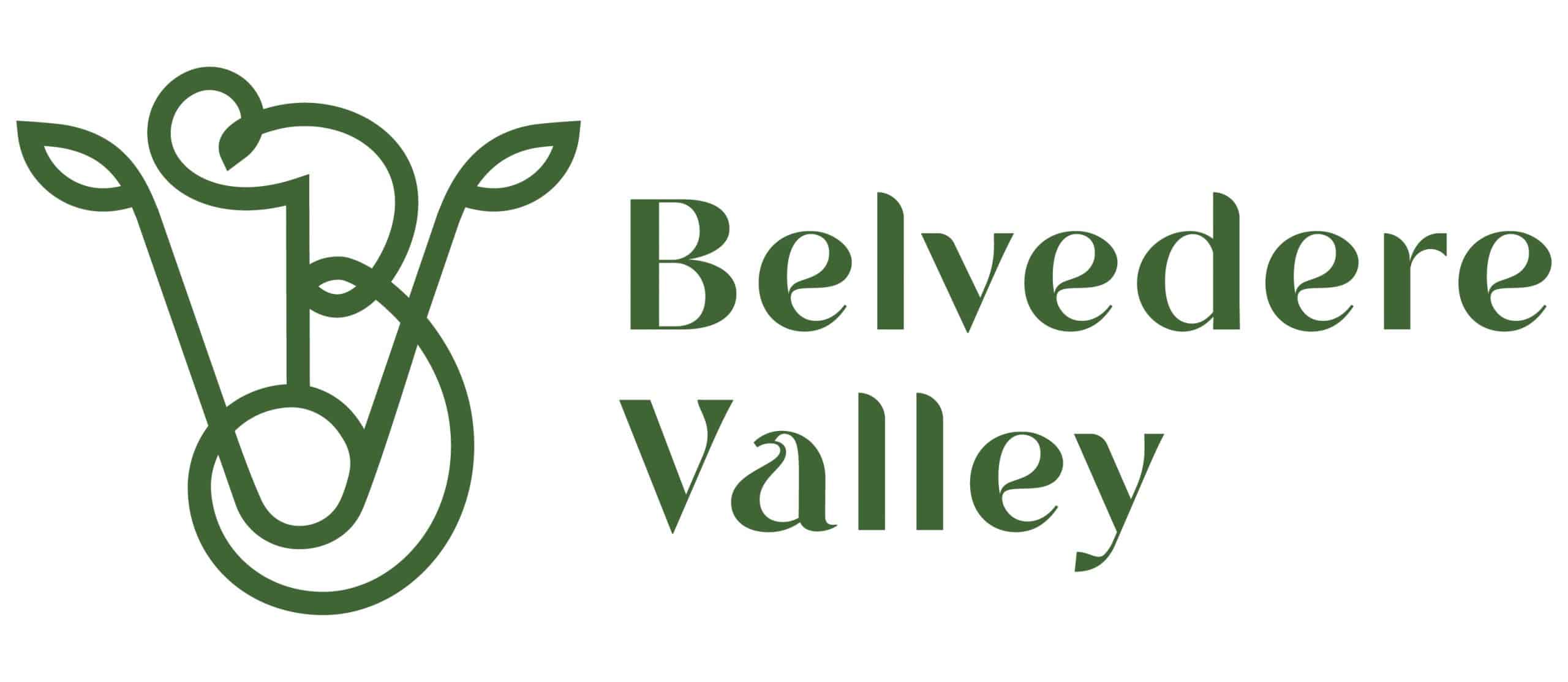 Belvedere Valley Grass Fed Wagyu Beef